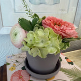 Garden Arrangement in 4 inch Terracotta Container
