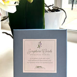 Scripture Cards