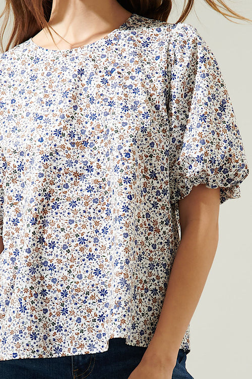 0 Fall Brown/Blue  Cream Top